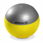 Pilates Ball + Pump 65cm